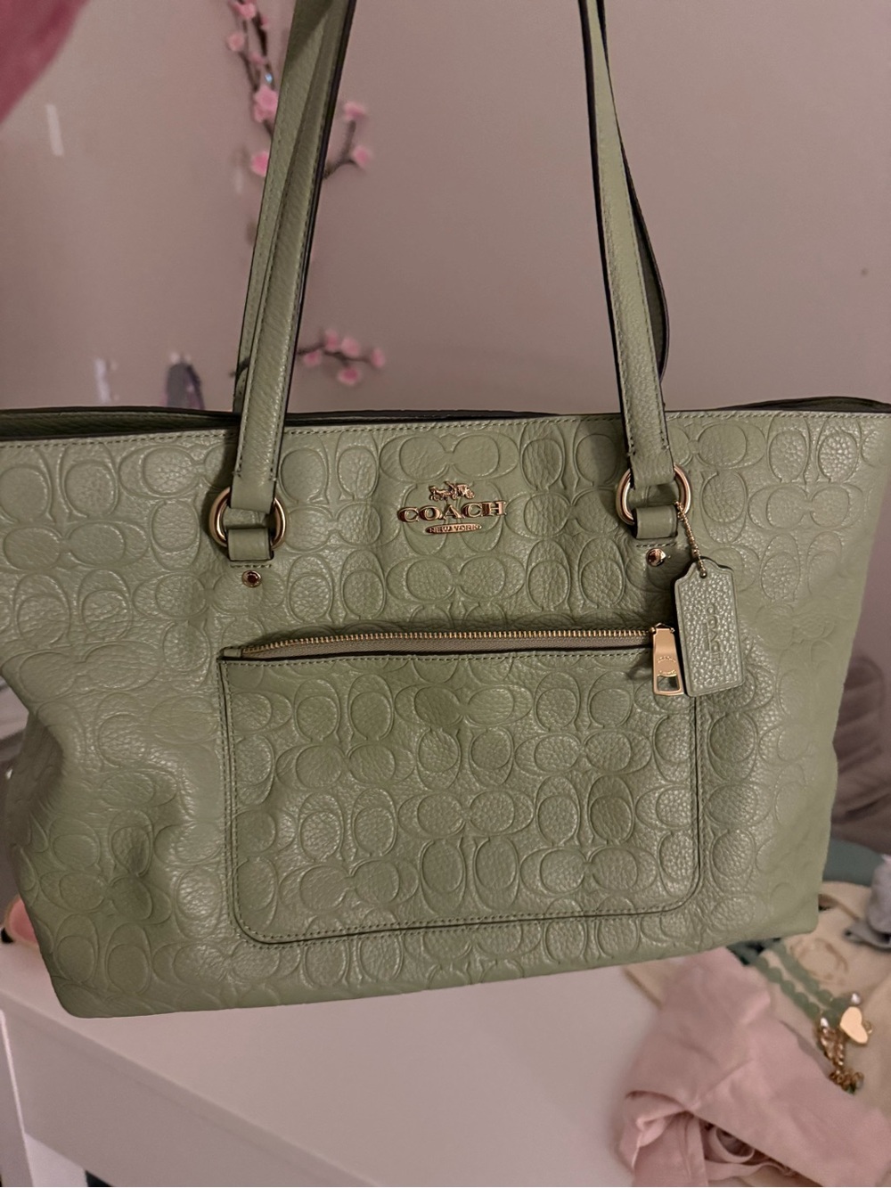Coach Signature Leather Tote in Sage Green
